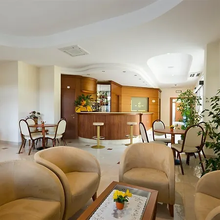 Hotel Ambasciatori Bellaria-Igea Marina